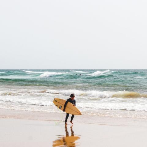 Child windsurfer