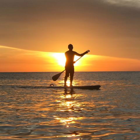 Paddle Boarding